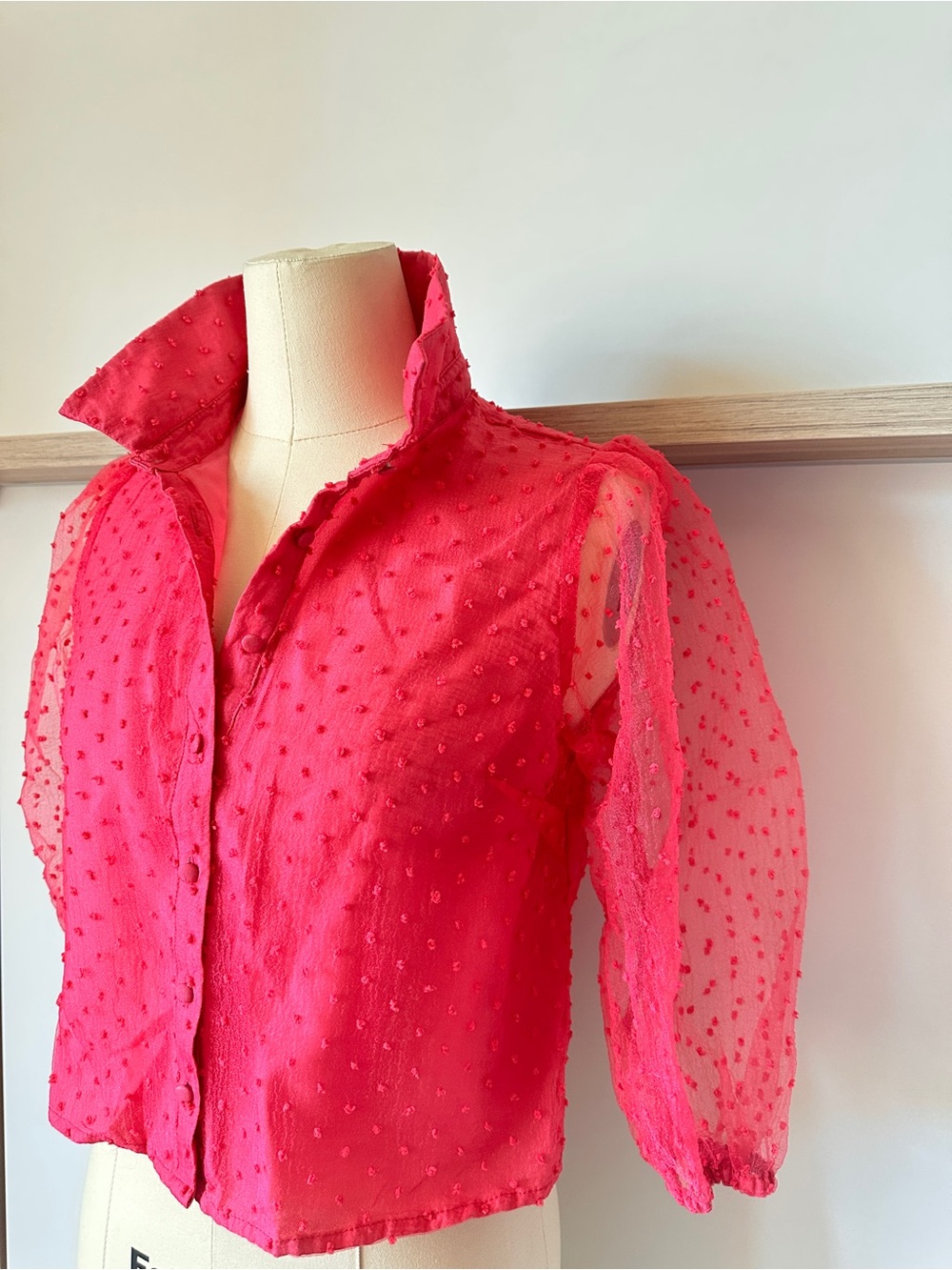 Forever 21 Hot Pink Swiss Dot Button-Front Blouse
